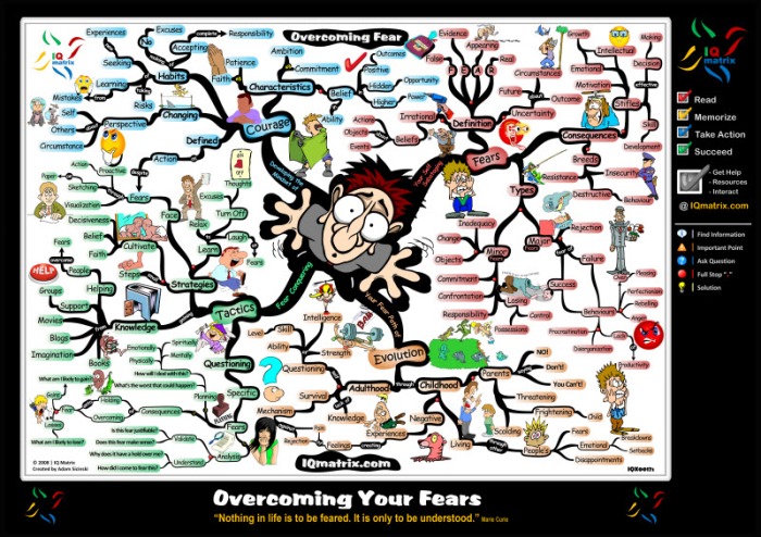 Steps for Overcoming Your Fears Motivational Mind Map Poster